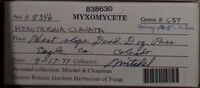 Image Associated With the Occurence